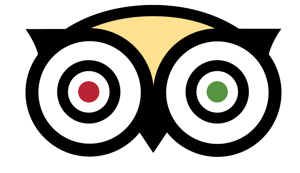 google icon